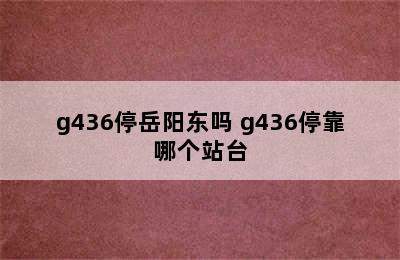 g436停岳阳东吗 g436停靠哪个站台